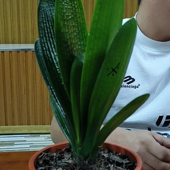 悠***音完全开放重点200米