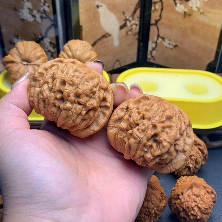 纯***玩把件文玩核桃507龙鼎53全品