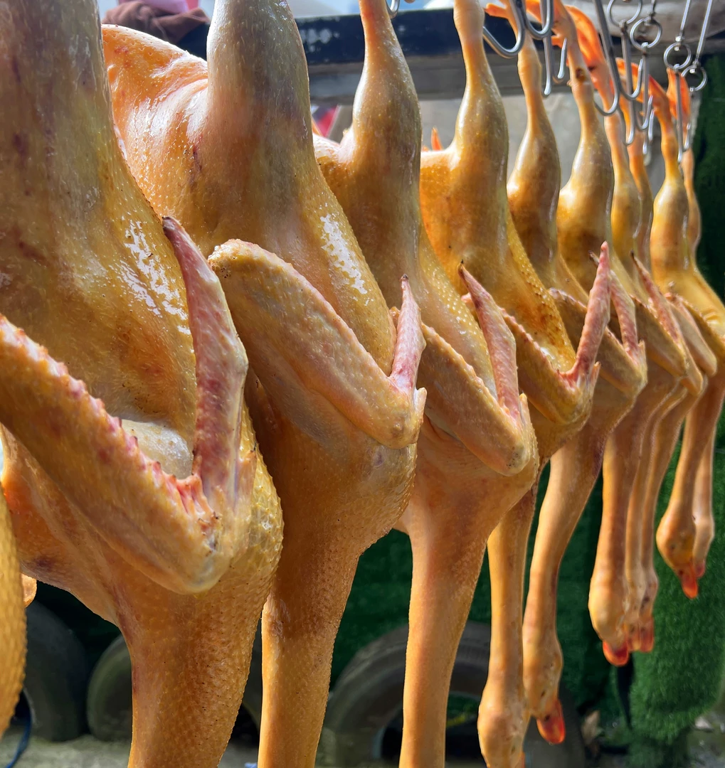 新鲜现杀散养300天麻鸭（黄皮红肉-不带内脏）每只肉净重4斤以上