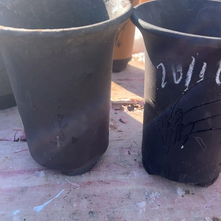 红陶紫砂兰花盆微瑕