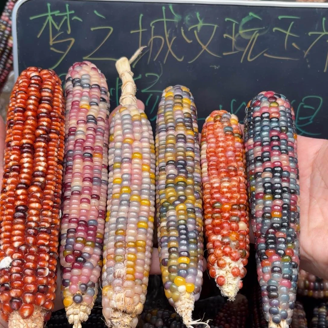 柏香籽/百香籽吊坠安*