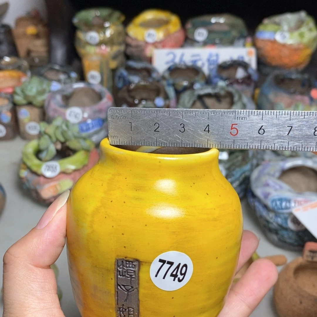 拍3送一个小礼物