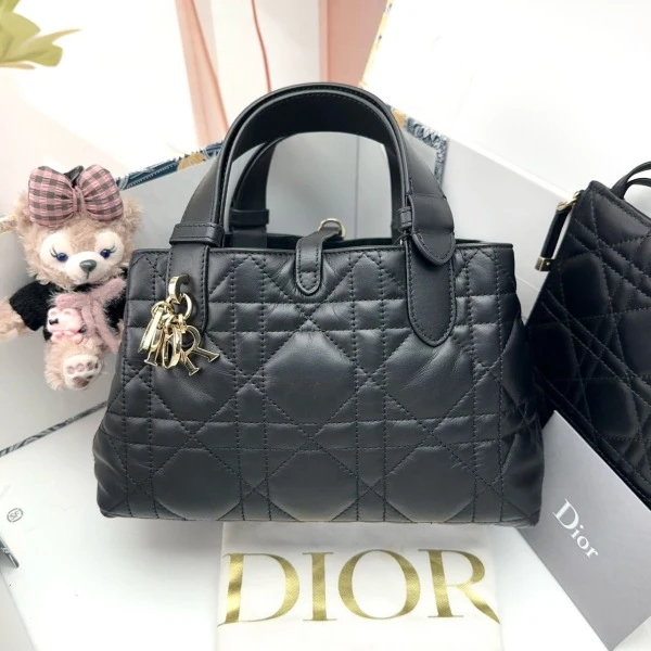 99新/迪奥/包包/251011SW0011