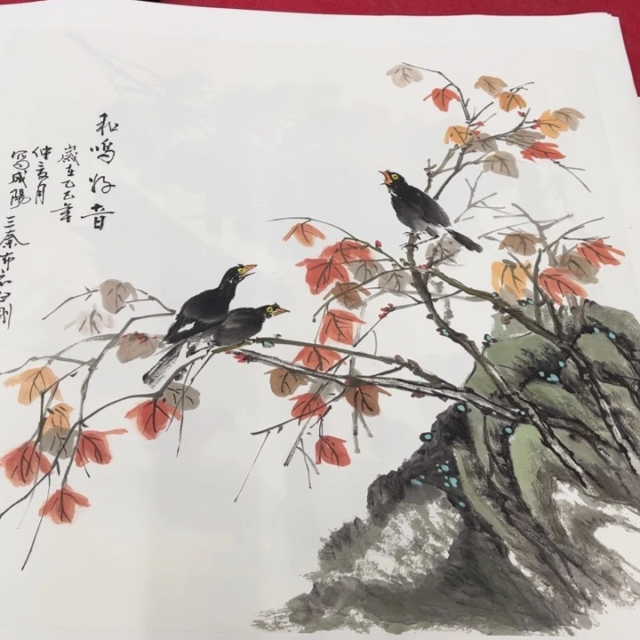 国画花鸟等多种鸟类的栖息环境