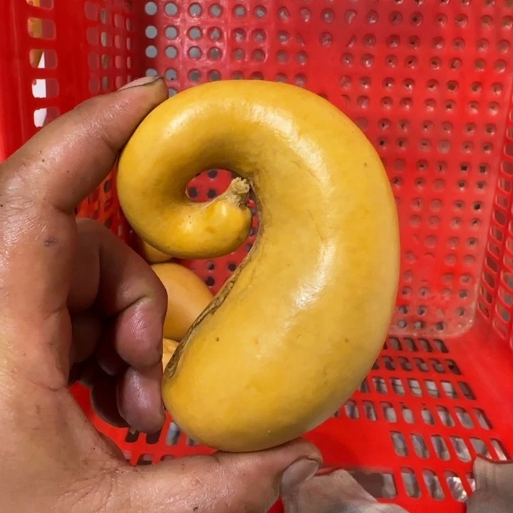 彦*多哈哈哈哈哈哈哈哈哈哈哈哈