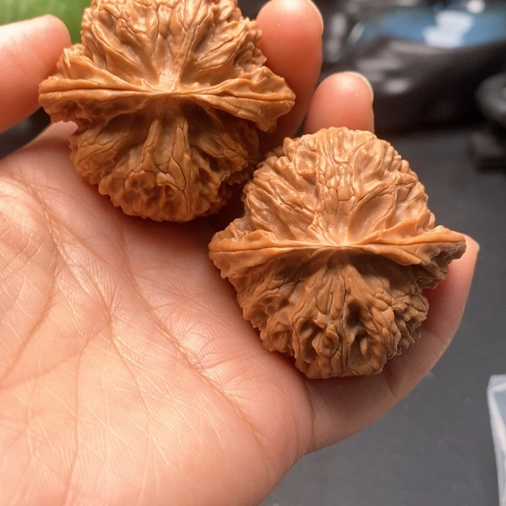 文玩核桃把件苹果44尺