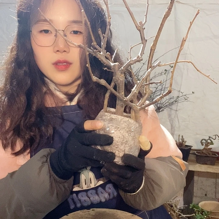 完全开放东洋锦1090