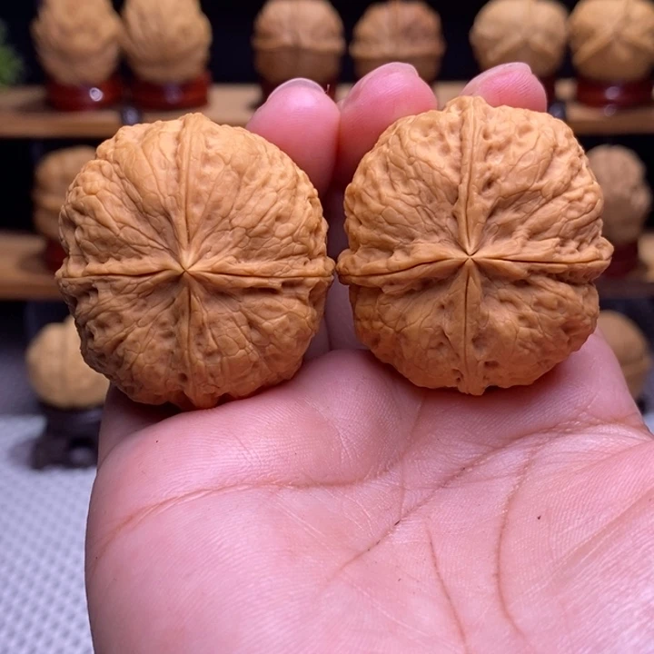 木质类云铁凹江龙四棱11号