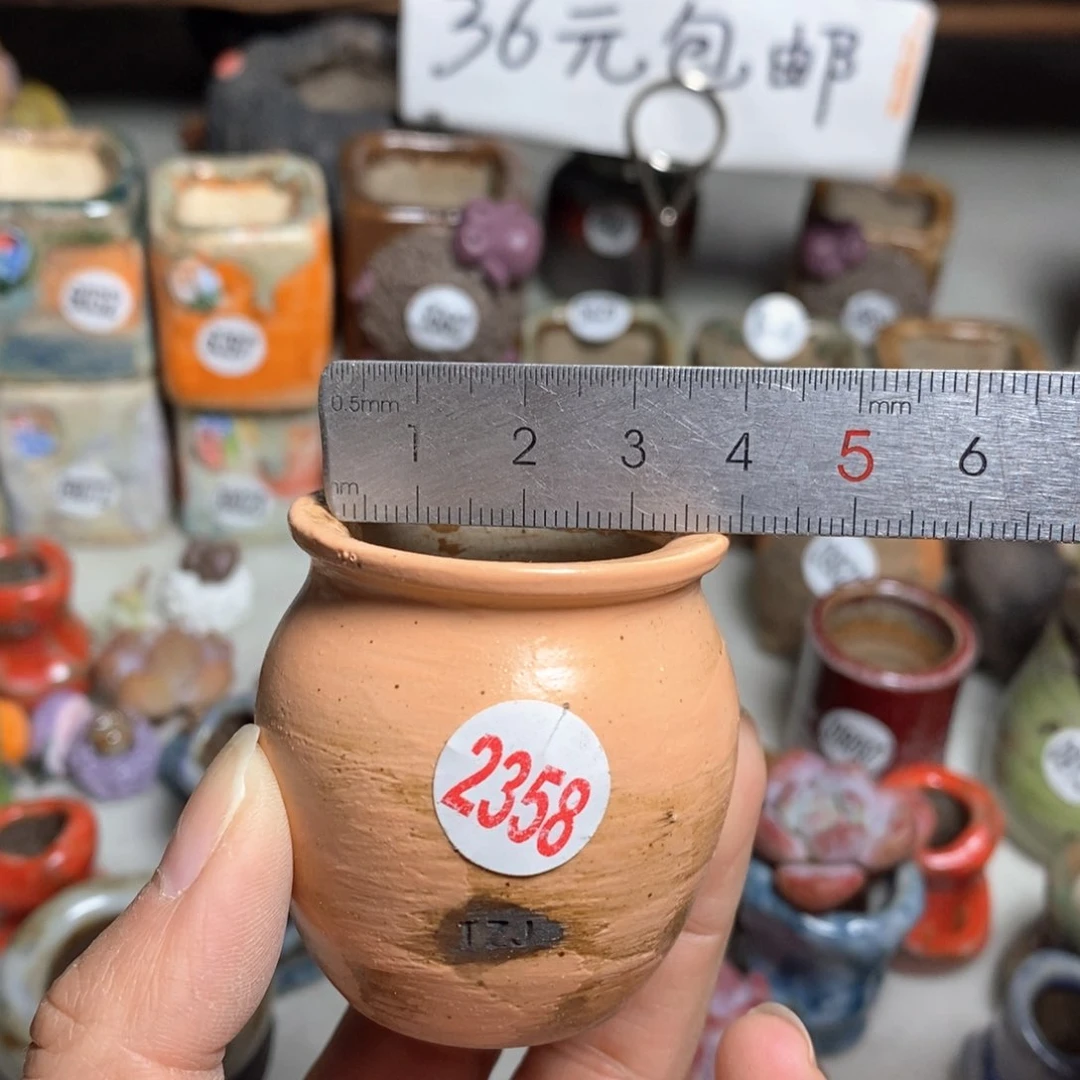花盆拍3送一个小礼物