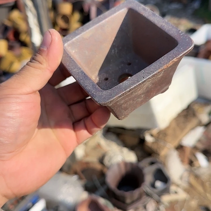 一天只喝一点奶茶一次药就是这么回锅炖啊哈吃一片