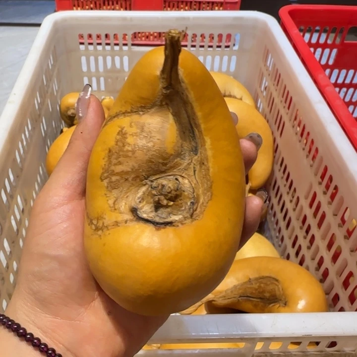 村***汉哈哈哈哈哈哈哈哈哈哈