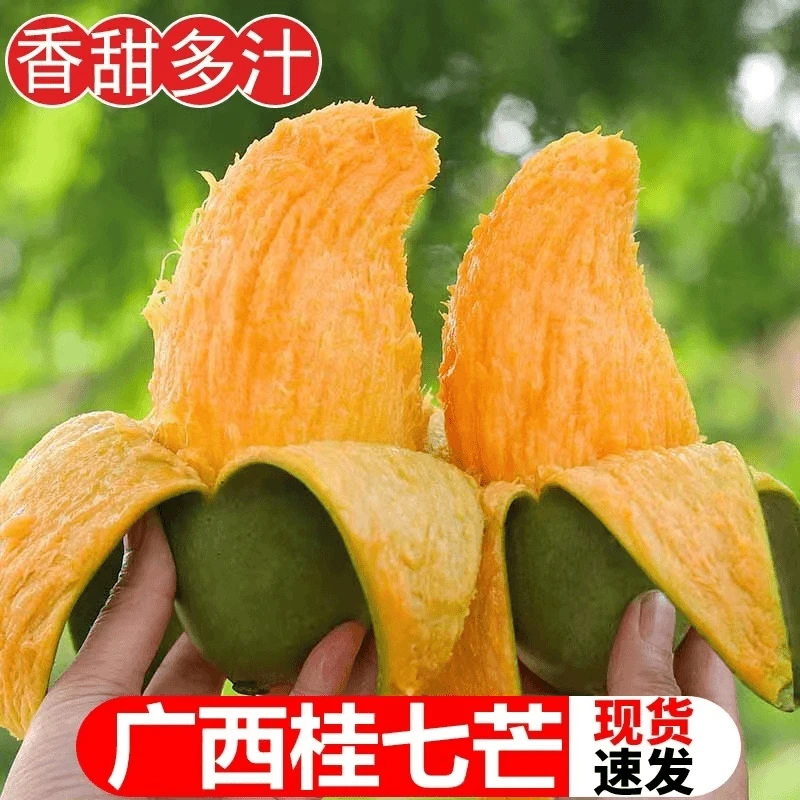 【放软食用】广西正宗桂七芒香甜多汁当季水果青皮老树A