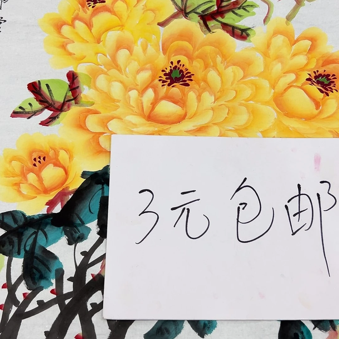 新号开播领福利了