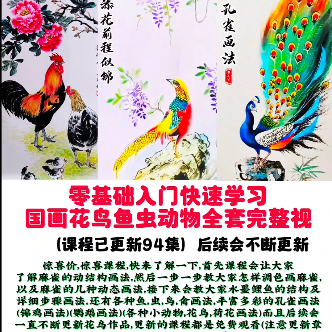零基础初学者详细学习国画花鸟鱼虫动物全套视频课程成人都可以画