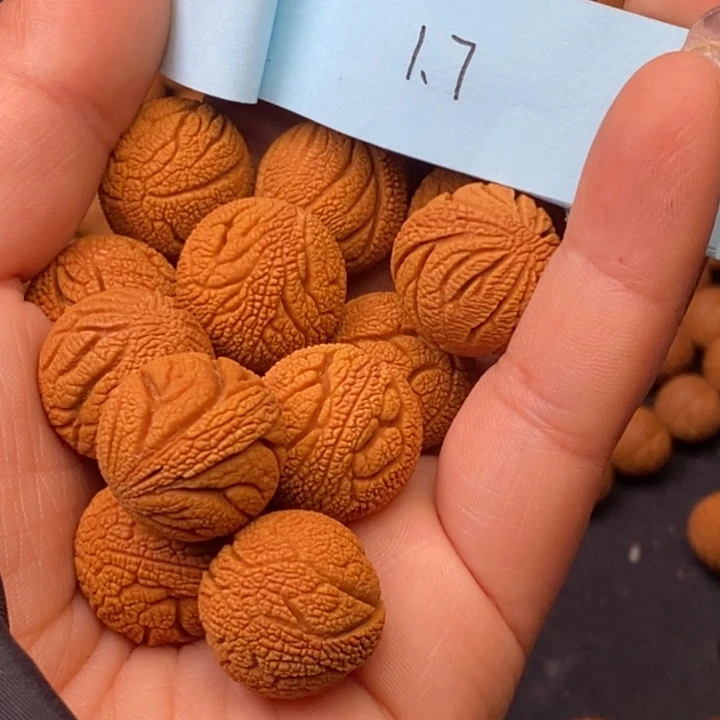 秦岭龙纹桃核14颗