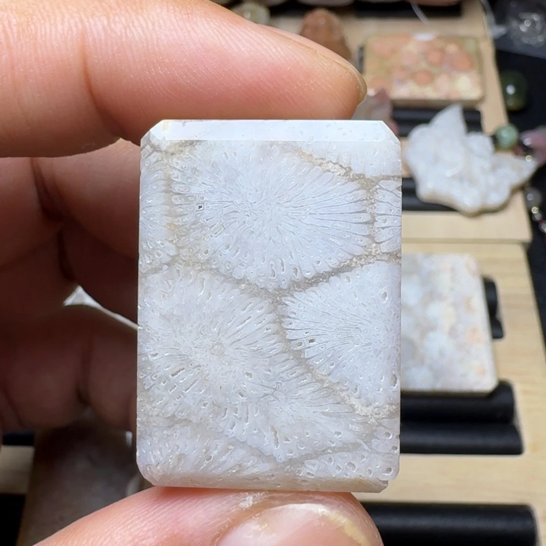 未镶嵌纯天然色有机玉石保真色硅化玉