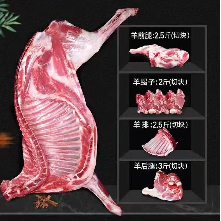 半羊内蒙羔羊肉10斤75%腿排冷冻切块5斤羊排2.5斤羊蝎子冷冻