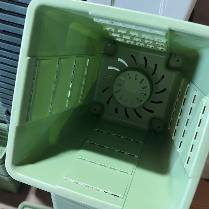 编号403果绿无托4个