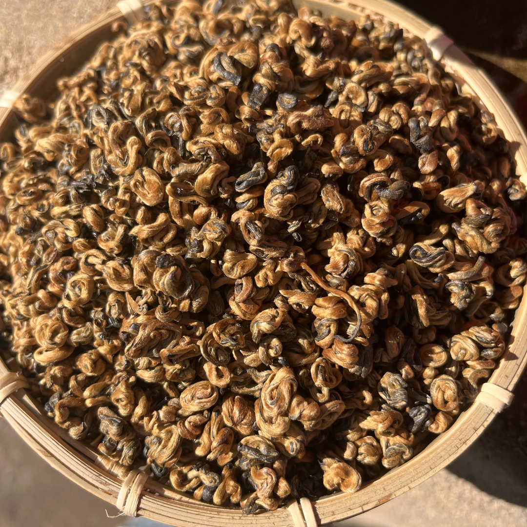 御品金螺（凤庆滇红茶）