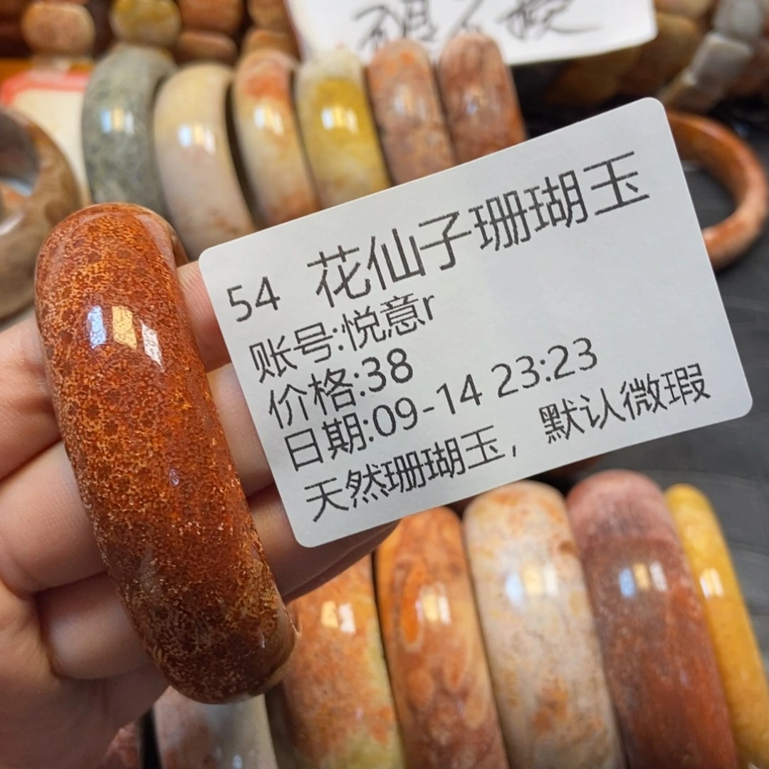 悦***r未镶嵌硅化珊瑚（珊瑚玉）珠宝半成品54
