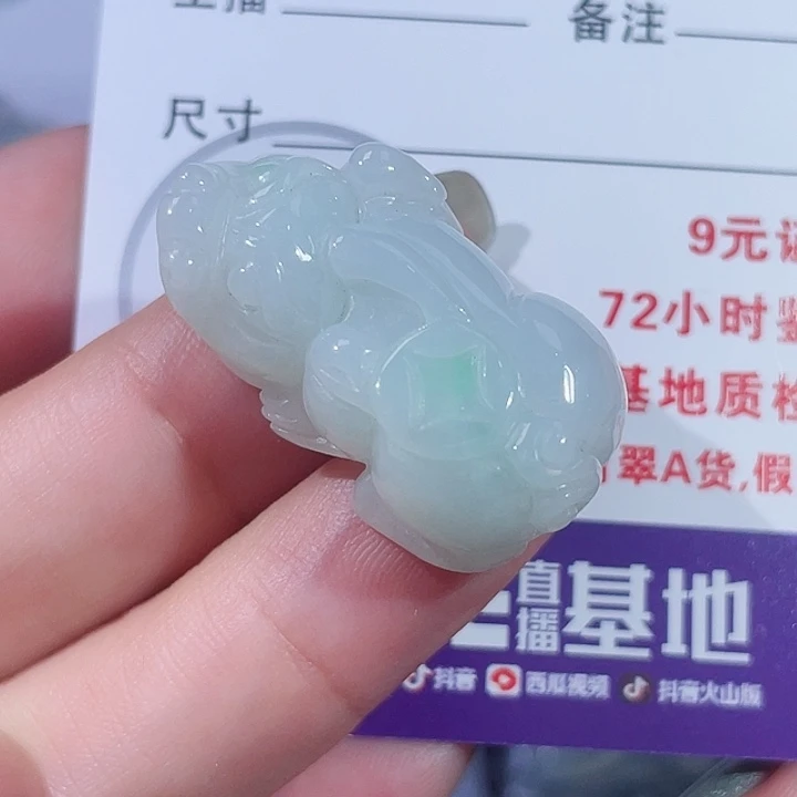 颈饰未镶嵌翡翠貔貅