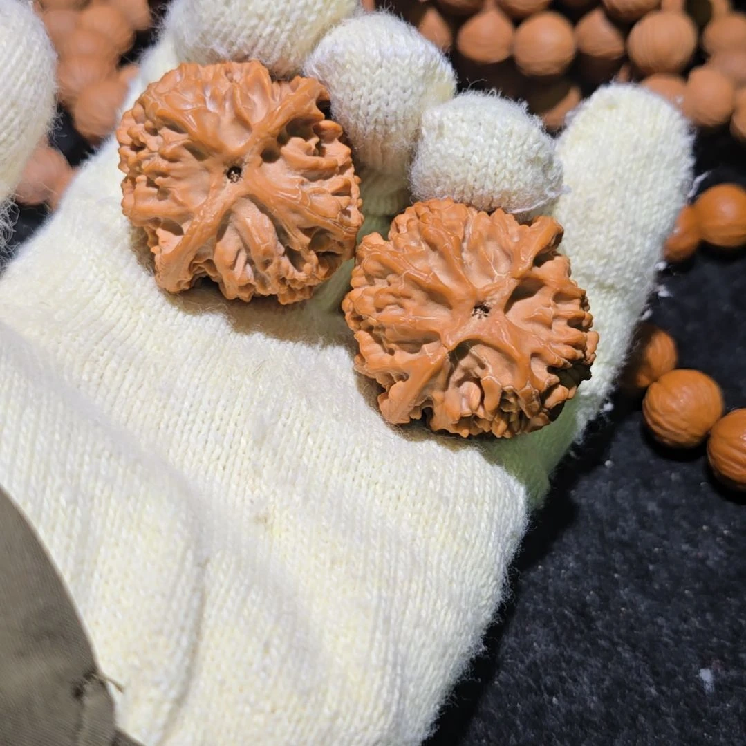 核桃哈哈哈哈哈哈哈哈哈苹果园