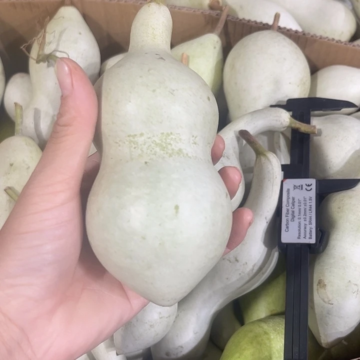 非洲紫檀（红花梨）津**戴