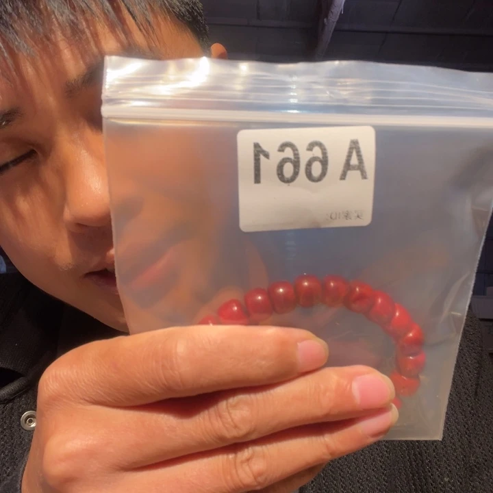 大叶紫檀（黑酸枝木类）661