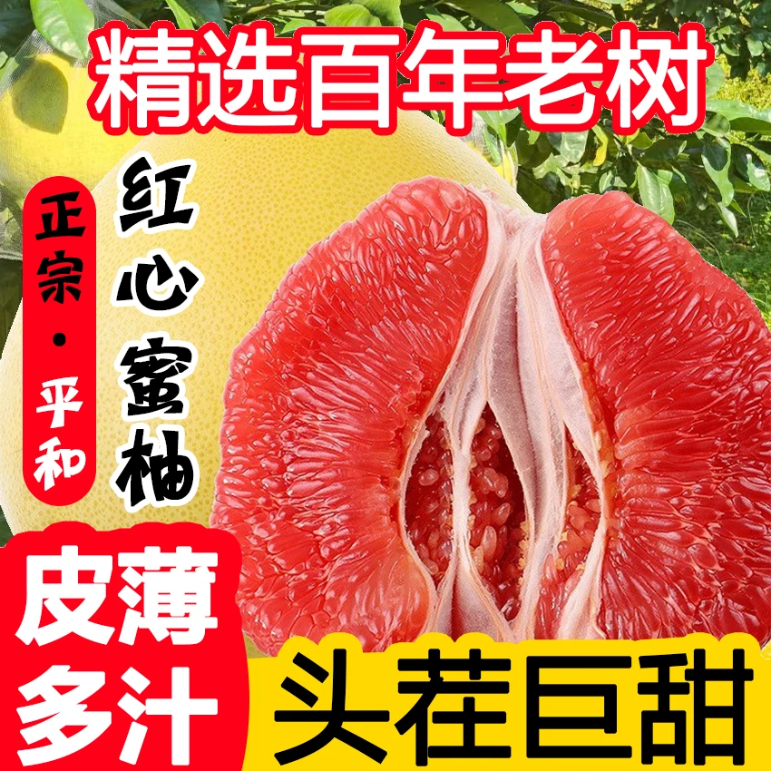 【次日达】919正宗福建平和琯溪蜜柚红心蜜柚当季水果全国多仓发货福建省