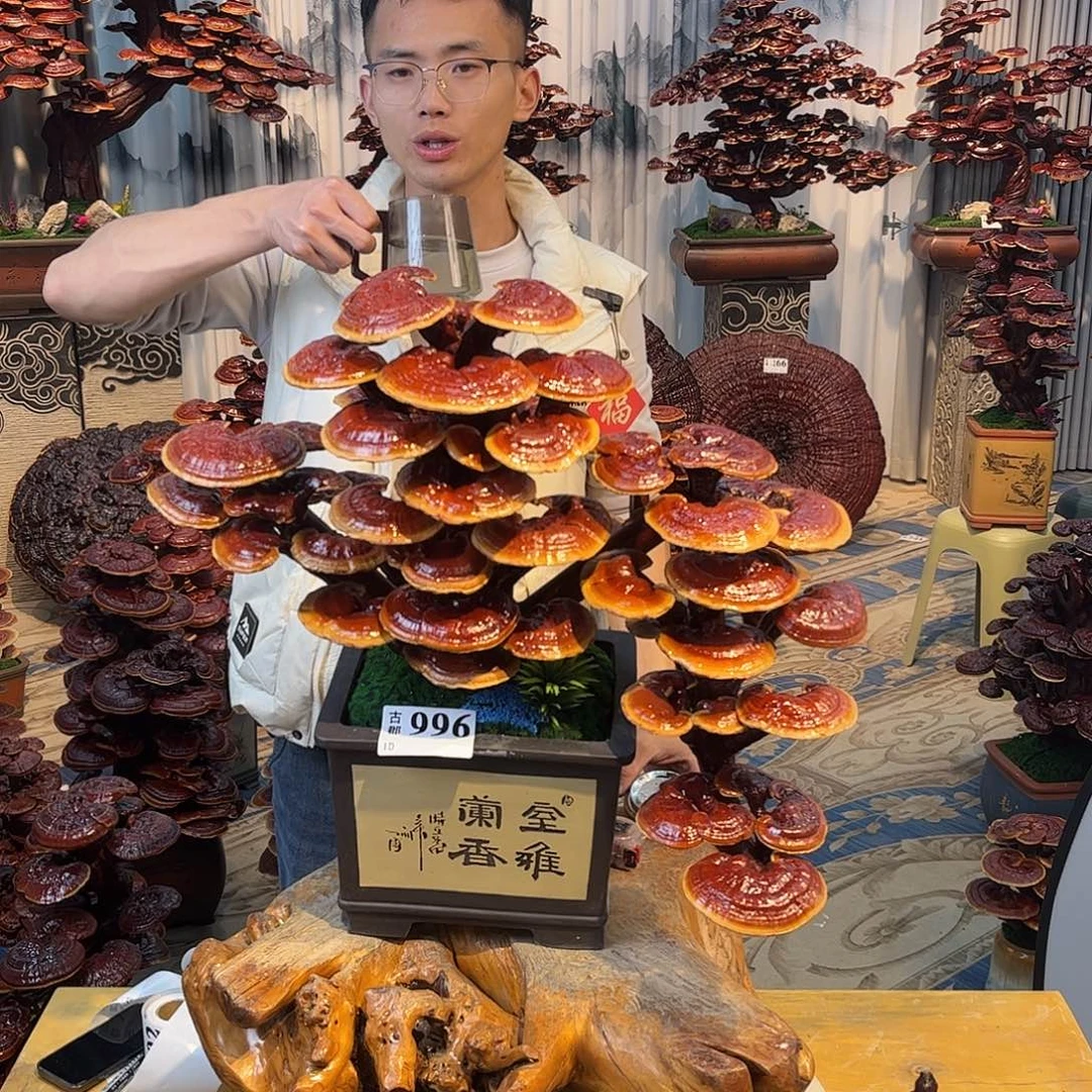 无花朵888888888888
