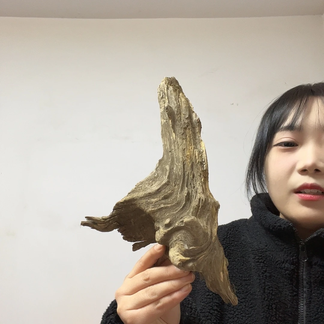 汐***荼柏木（崖柏）这个世界上最好不过了