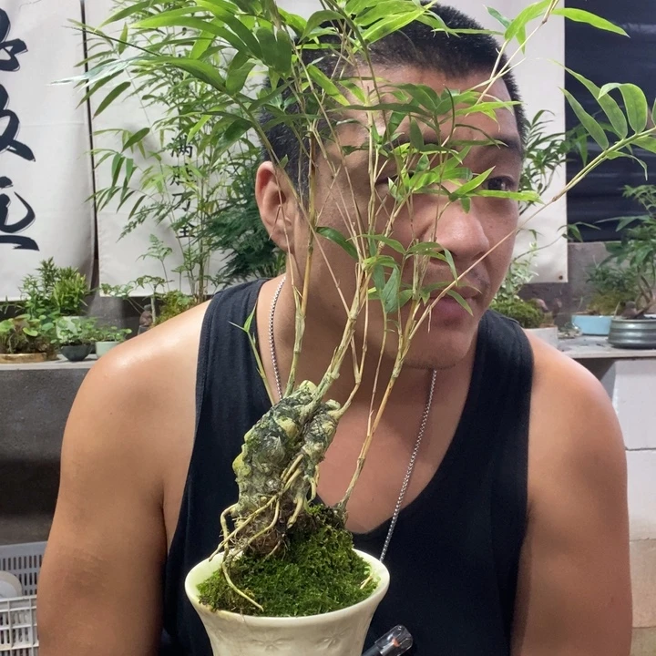 娘***子无花朵退款拉黑拉黑262