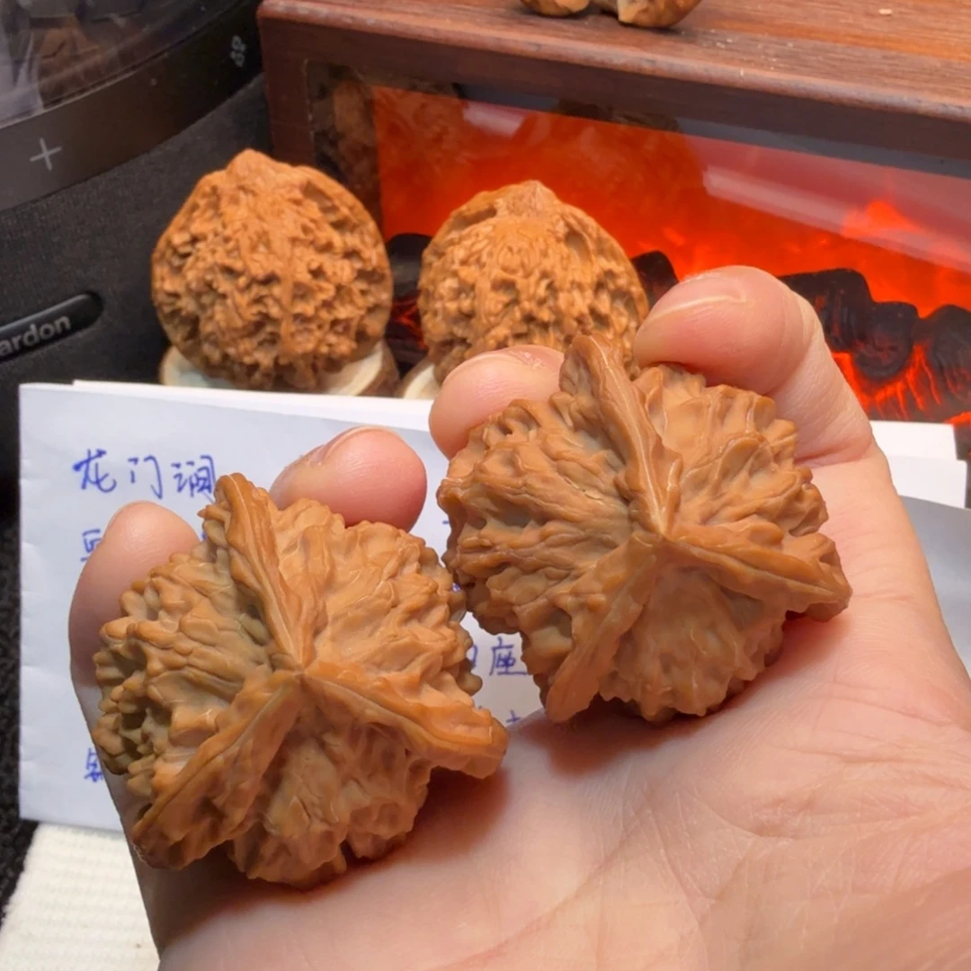 核桃37+全品盘山三棱