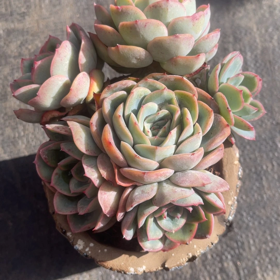 张*亿243735383535355353