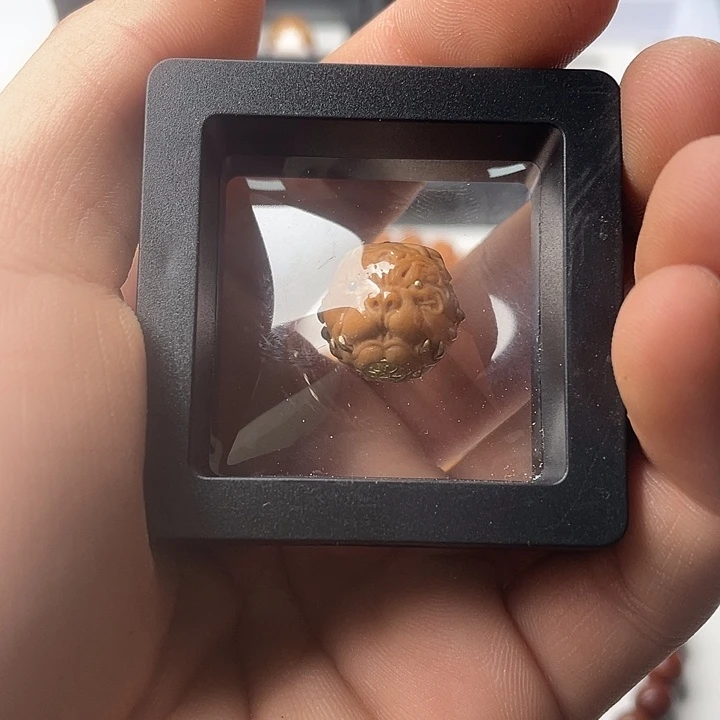 猴头核桃手串快**鱼狗王