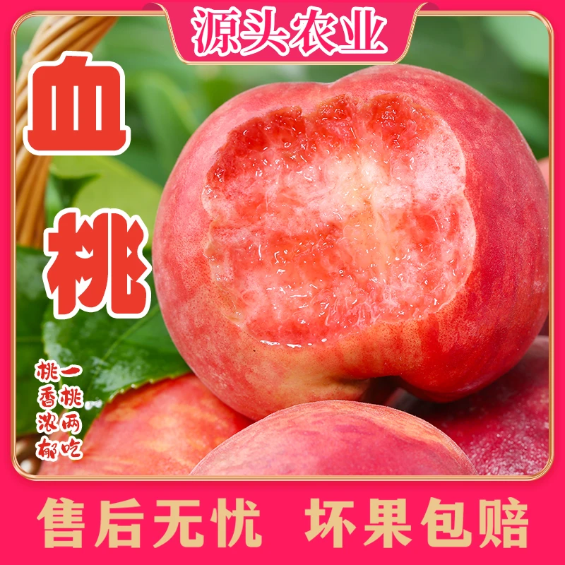 【血桃】河南桃子脆甜可口当季新鲜现摘水果 3斤L