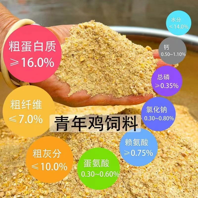 青年鸡,半大鸡定制玉米面饲料营养均衡 高蛋白高品质