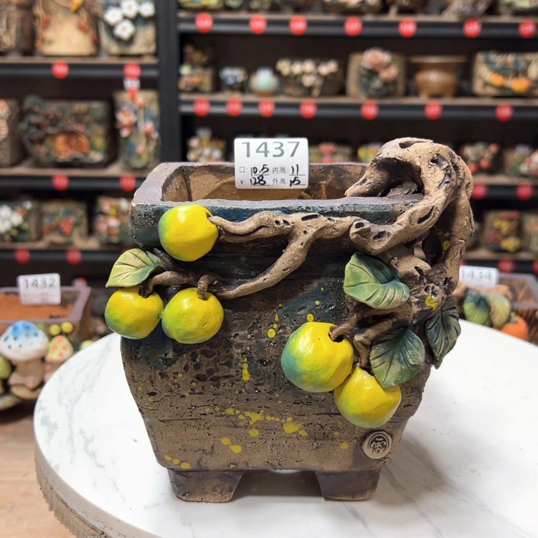 红陶1437口10.5高15