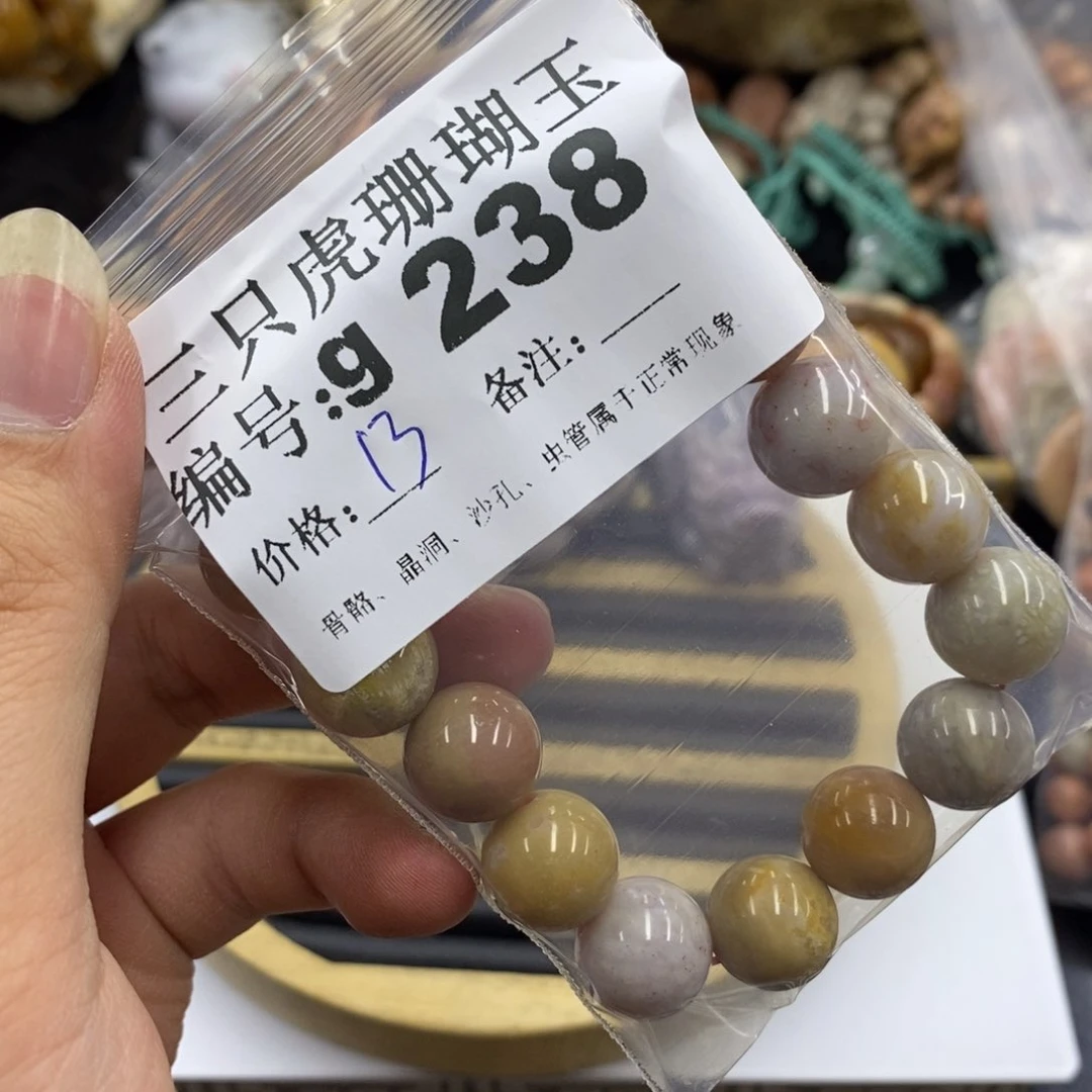 硅化珊瑚（珊瑚玉）未镶嵌1耀**/