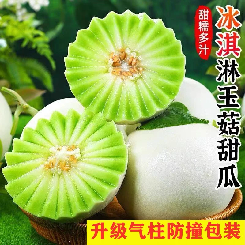 海南冰淇淋南方玉菇甜瓜香瓜绿肉蜜瓜当季新鲜水果白皮玉菇甜瓜