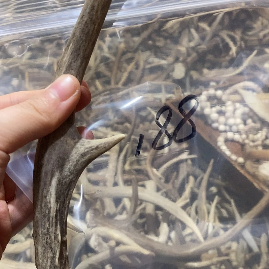 萌***剧非金属鹿角鹿角鹿