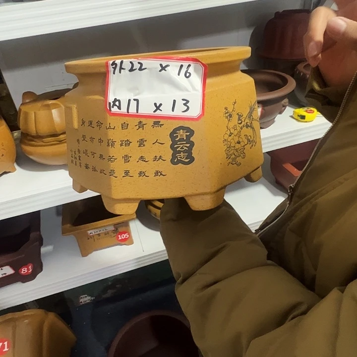 紫砂花盆紫砂花盆