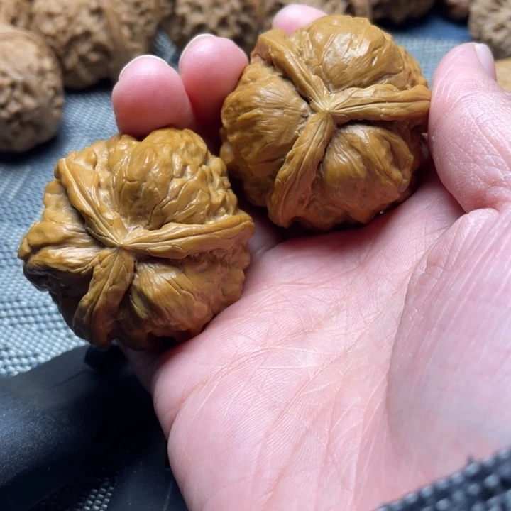 望***风手工三棱蛤蟆头三棱