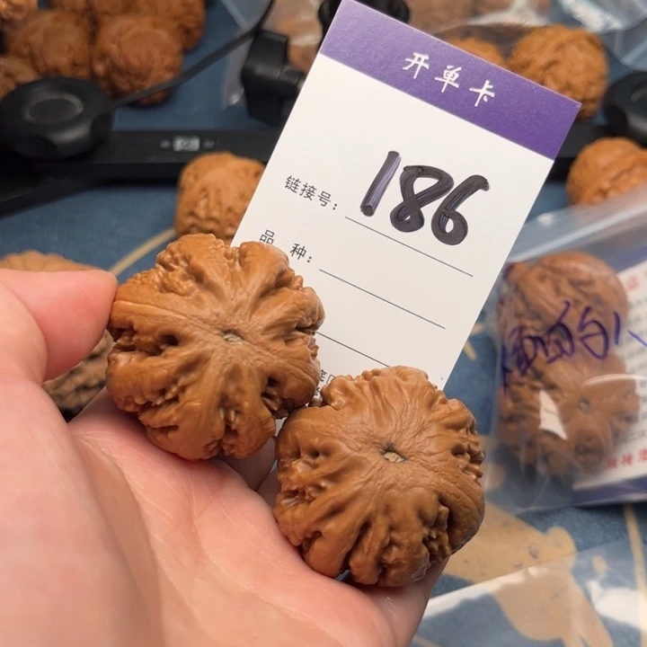 吊坠文玩核桃郝*森霸王龙 42全品 186