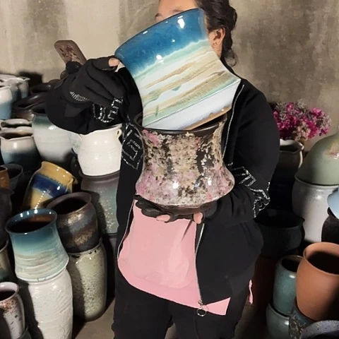 口19高19两个盆。