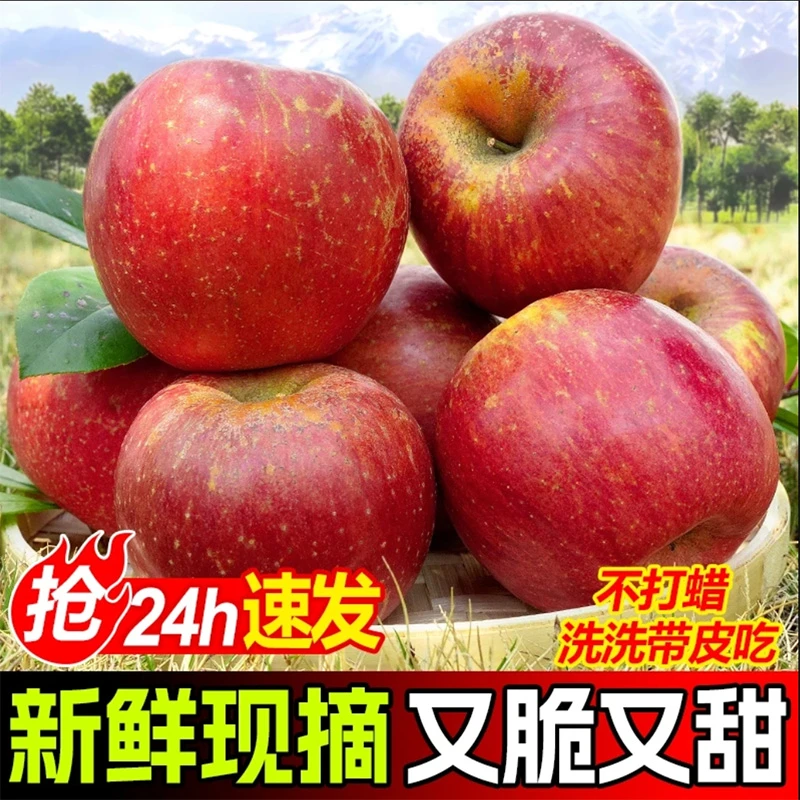 四川大凉山丑苹果新鲜脆甜多汁红富士水果现摘