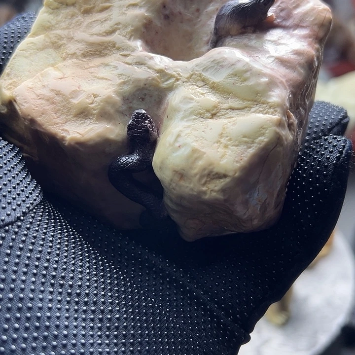 寿山石寿山石摆件