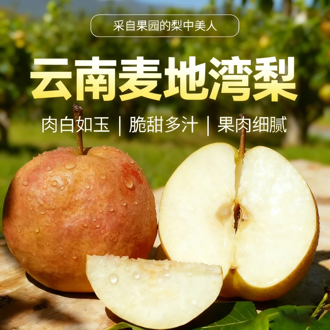 云南大理晚熟梨天池黄梨麦地湾梨新鲜采摘9斤