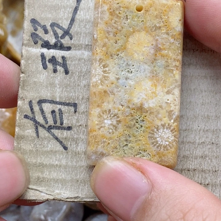 颈饰未镶嵌硅化珊瑚(珊瑚玉)灯**珊