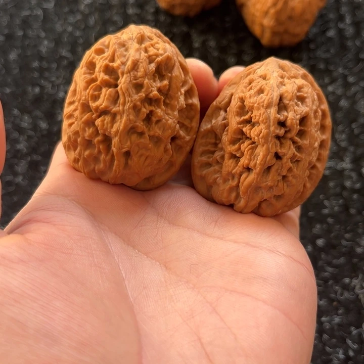 大叶紫檀（黑酸枝木类）将军膀